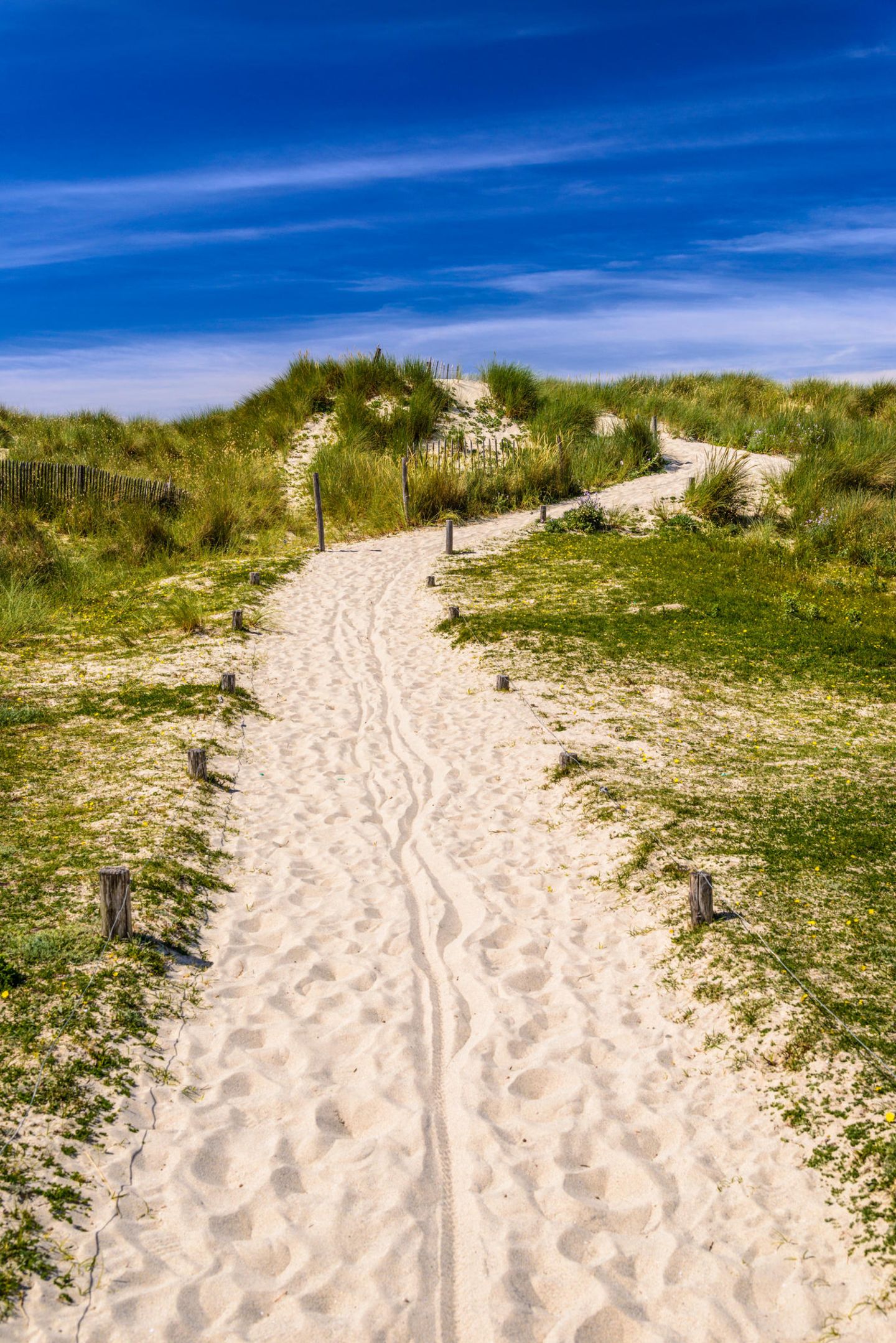 Pointe de la Torche: Zu Fuß raus aufs Meer Dünenlandschaft