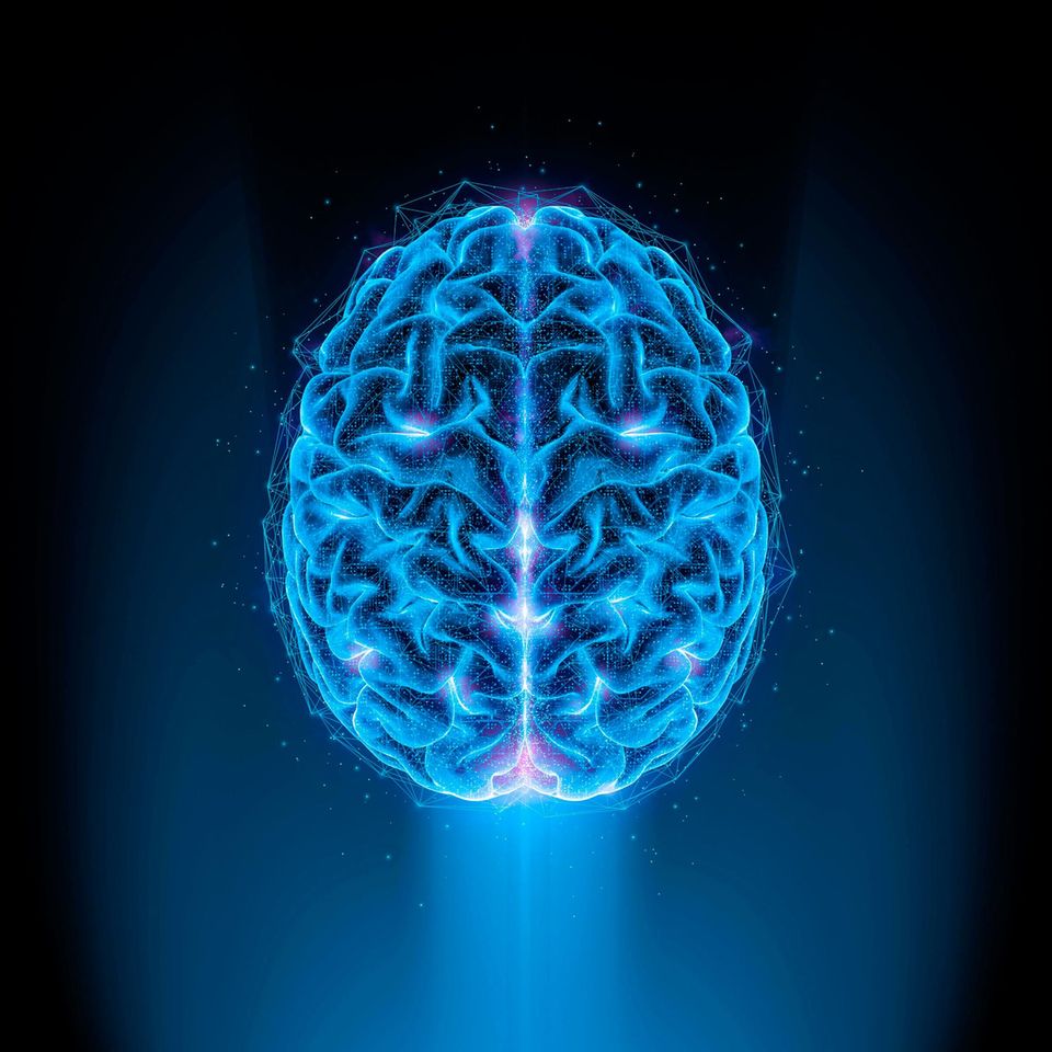 Darstellung eines Gehirns  Darstellung eines Gehirns