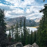 Baumwipfel ragen über einem See