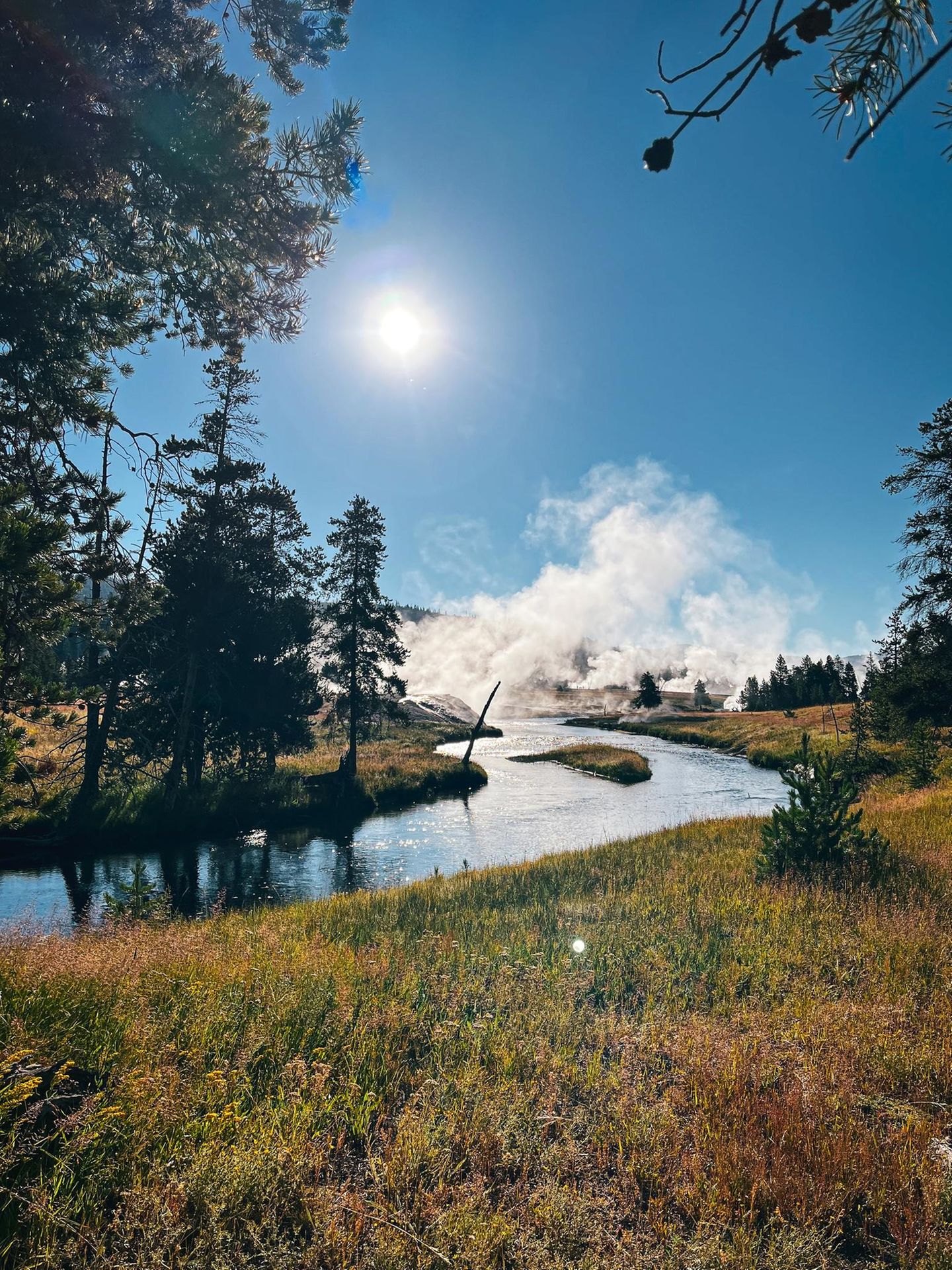 Herausforderung im Yellowstone Dunst im Wasser im Yellowstone National Park