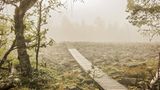 Im südlichen Finland, 268 Kilometer von Helsinki entfernt, erstrecken sich zum Geopark Lauhanvuori gehörende weitläufige Kiefernwälder, hier unterbrochen von - einem im Nebel fast verschwindenden - 800 Meter langem Feld von Gesteinsbrocken, bestehend fast zu einhundert Prozent aus Sandstein. Genannt wird das Feld Kivijata. Vor Abermillionen Jahren gehört es zu einem Strand, dessen Sand durch tektonische Kräfte vom Meer isoliert wurde. Dass das einst so war, übersteigt vermutlich die Vorstellungskraft der meisten Besuchenden - verleiht dem Ort aber etwas Zauberhaftes. Größe des Parks: 5395 Quadratkilometer. Beste Reisezeit: März - Dezember. Geopark seit: 2020