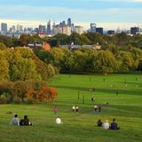 Leute liegen auf der Wiese in Primerose Hill