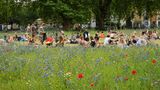 London Fields: Relaxen im Grünen Menschen genießen ihre Zeit im London Fields