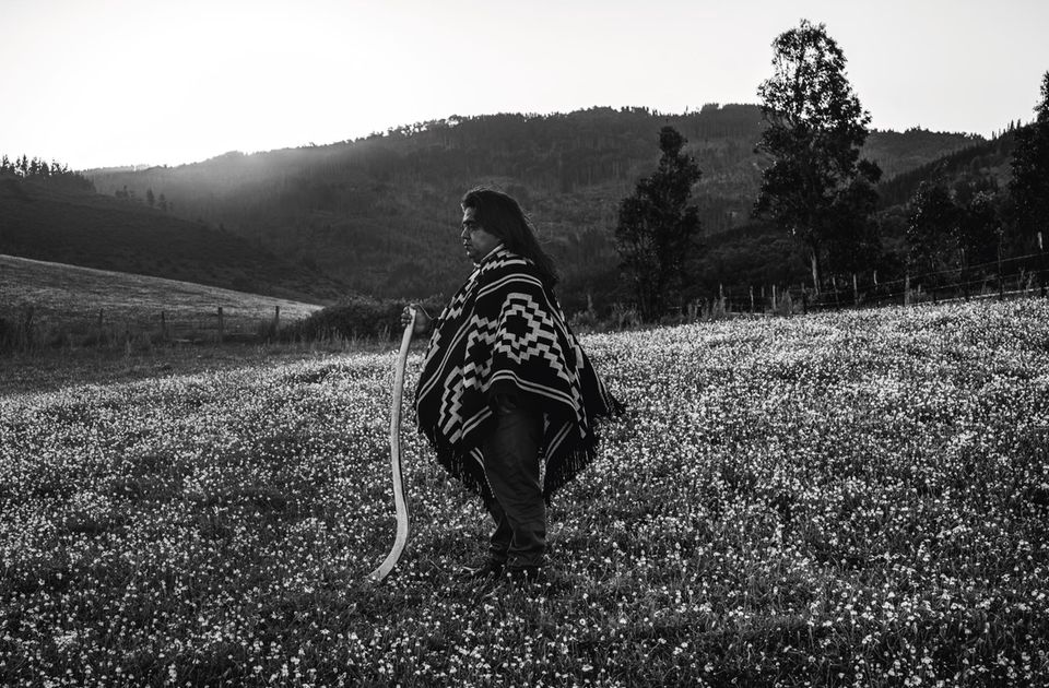 Der »Lonko« Víctor Queipul Hueiquil auf einer Wiese
