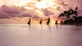 Traditionelle Stelzenfischer versuchen ihr Glück im Wechsel zwischen Ebbe und Flut bei Sonnenuntergang in Koggala, Sri Lanka. Das ausdrucksstarke Bild zeigt die Bewegung des Wassers im Kontrast zur Stille der Fischer.
