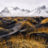 Winter in Stokksnes, Island: Das Bild zeigt einen schwarzen Sandstrand, im Hintergrund liegt der majestätische Berg Vestrahorn. Fotograf Ivan Pedrettie liebt an seinem Bild besonders den Farbkontrast zwischen den weißen Bergen und den schwarzen Dünen, die gelbe Gräser zieren.