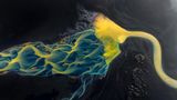 Eisblaue Wasseradern, schimmernde Gletscherzöpfe und glitzerndes goldenes Sediment vereinen sich zu einer entzückenden Fata Morgana für das menschliche Auge. Sehen Sie darin einen Elefanten mit wallender Löwenmähne? Oder einen Löwenkopf mit weich fallenden Zöpfen? Das ist ganz der Fantasie überlassen. Die magische Topographie Islands jedenfalls ist auf diesem Bild eindrucksvoll eingefangen. 