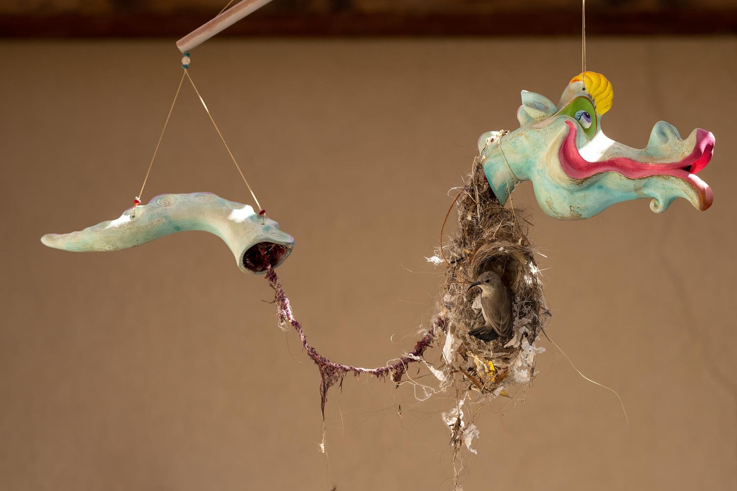 Ein zerbrochenes Drachenmobile auf der Veranda eines Wohnhauses wird zum Vogelnest, das im Wind in alle Richtungen schwingt. Fotograf Roy Wiesner beobachtete stundenlang, wie Vogelmännchen und -weibchen sich abwechselten, um Zweige, Feder, Haare und sogar Teile von Kleidungsstücken zu sammeln und daraus ihr Nest zu bauen. Tagelang sei das Vogelpärchen beschäftigt gewesen, um das perfekte Nest zu bauen.