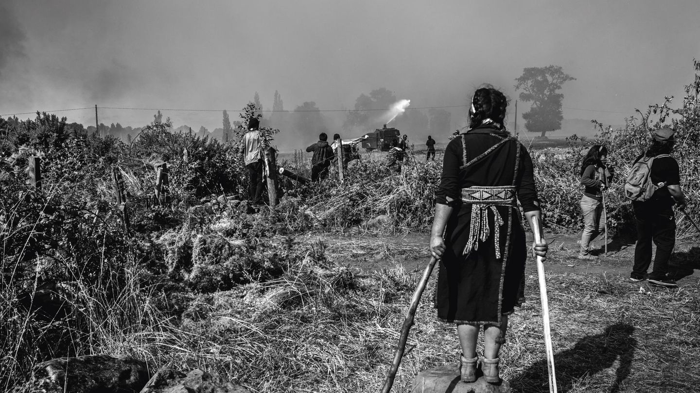 Aufstand der Mapuche: In Chile kämpfen Ureinwohner für einen eigenen ...