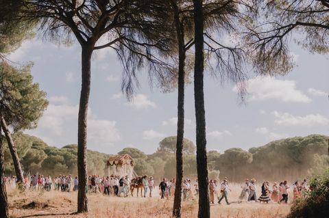 Gläubige wandern durch Pinienwald