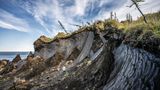 Wo der Permafrost taut, bricht das Ökosystem zusammen, und riesige Mengen CO2 und Methan werden freigesetzt. Nikita Simow, Ökologe aus Tscherskij, inspiziert einen Hangabrutsch an der Kolyma bei Duwannyj Jar. Auch die Ewenken leiden: Ihre Rentierzucht hängt von der sensiblen arktischen Natur ab