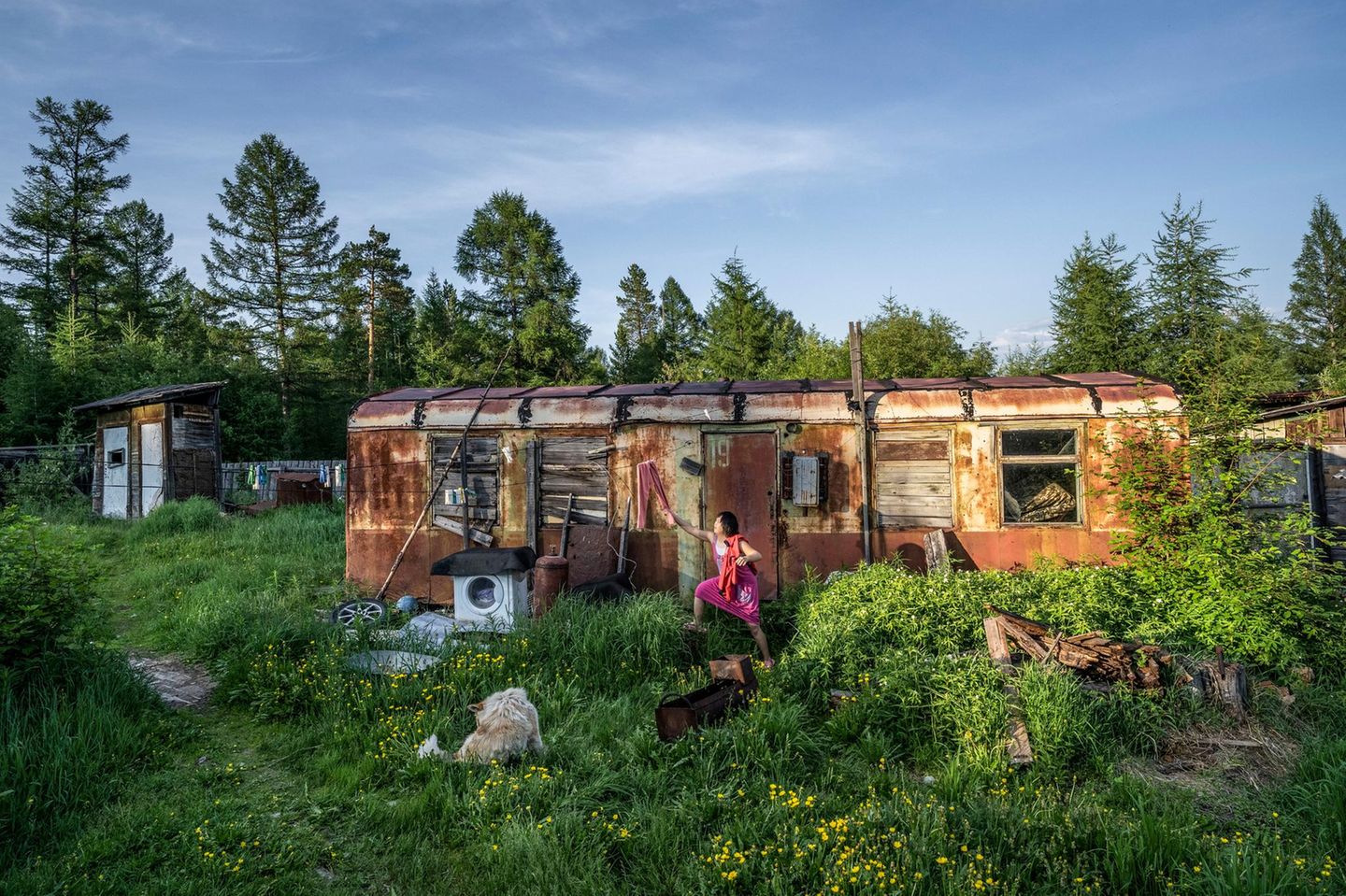 Xenia Kirillowa holt in Ijengra die Wäsche von der Leine. Das Dorf besteht aus einfachen Holzhütten, rostigen Blechbehausungen und Müll. Den Waggon nutzen die Bewohner als Lager. Die meisten der etwa 30 000 sibirischen Ewenken sind arm, viele leiden an Alkoholismus, die Selbstmordrate ist hoch