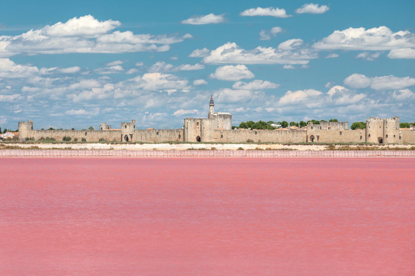 Die Salinen vor dem mehr als 2000 Jahre alten Städtchen Aigues-Mortes ("Tote Wasser") ganz im Westen der Camargue erstrahlen rosa, lila, rot. Urheber des Farbspektakels ist nicht etwa das Salz, sondern "Dunaliella Salina", eine Alge, die unter hoher Licht- und Salzkonzentration Beta-Carotin anreichert. Besonders fotogen sind die Salinen aus erhöhter Perspektive: zum Beispiel von der mittelalterlichen Stadtmauer, die als eine der wenigen komplett intakt geblieben ist. Sowieso ist das Städtchen selbst ein Augenschmaus: In den Gassen schmiegen sich Cafés, Kunsthandwerkerstätten und kleine Läden aneinander.