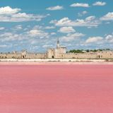 Die Salinen vor dem mehr als 2000 Jahre alten Städtchen Aigues-Mortes ("Tote Wasser") ganz im Westen der Camargue erstrahlen rosa, lila, rot. Urheber des Farbspektakels ist nicht etwa das Salz, sondern "Dunaliella Salina", eine Alge, die unter hoher Licht- und Salzkonzentration Beta-Carotin anreichert. Besonders fotogen sind die Salinen aus erhöhter Perspektive: zum Beispiel von der mittelalterlichen Stadtmauer, die als eine der wenigen komplett intakt geblieben ist. Sowieso ist das Städtchen selbst ein Augenschmaus: In den Gassen schmiegen sich Cafés, Kunsthandwerkerstätten und kleine Läden aneinander.