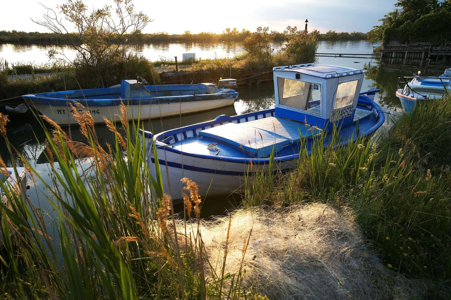 Boote im Schilf