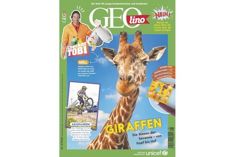 GEOLINO NR. 5/2024: Giraffen