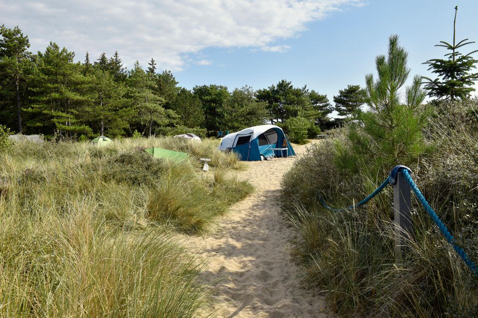 Fußweg auf dem Campingplatz mit Zelten im Naturschutzgebiet Amrumer Dünen mit einem kleinen Nadelwald