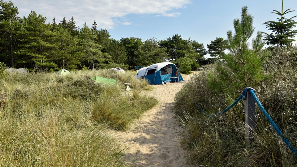 Fußweg auf dem Campingplatz mit Zelten im Naturschutzgebiet Amrumer Dünen mit einem kleinen Nadelwald Fußweg auf dem Campingplatz mit Zelten im Naturschutzgebiet Amrumer Dünen mit einem kleinen Nadelwald