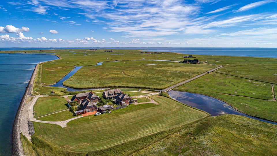 Hallig Hooge Luftbild