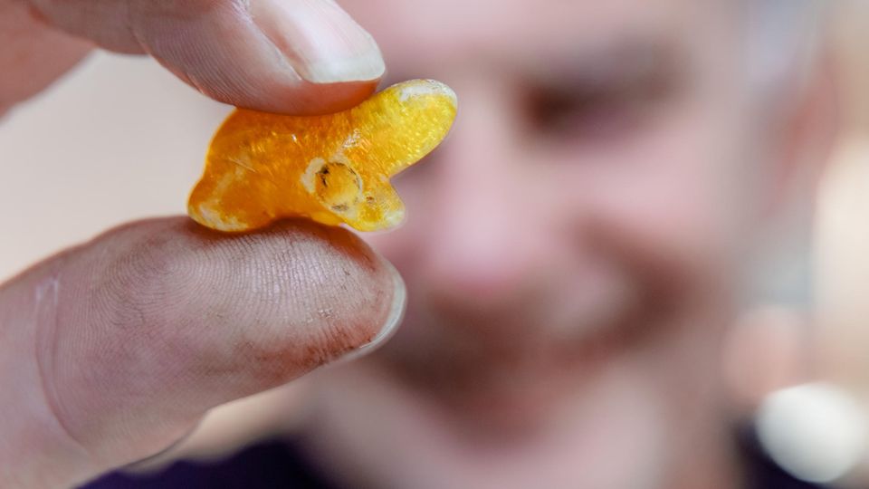 Boy Jöns mit Bernstein Boy Jöns mit Bernstein