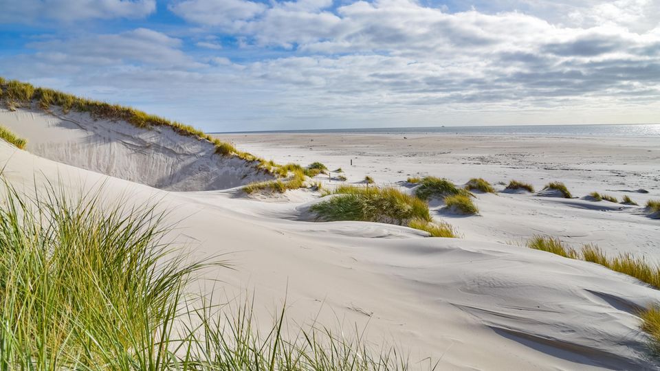 Düne mit Strand auf der Insel Amrum
