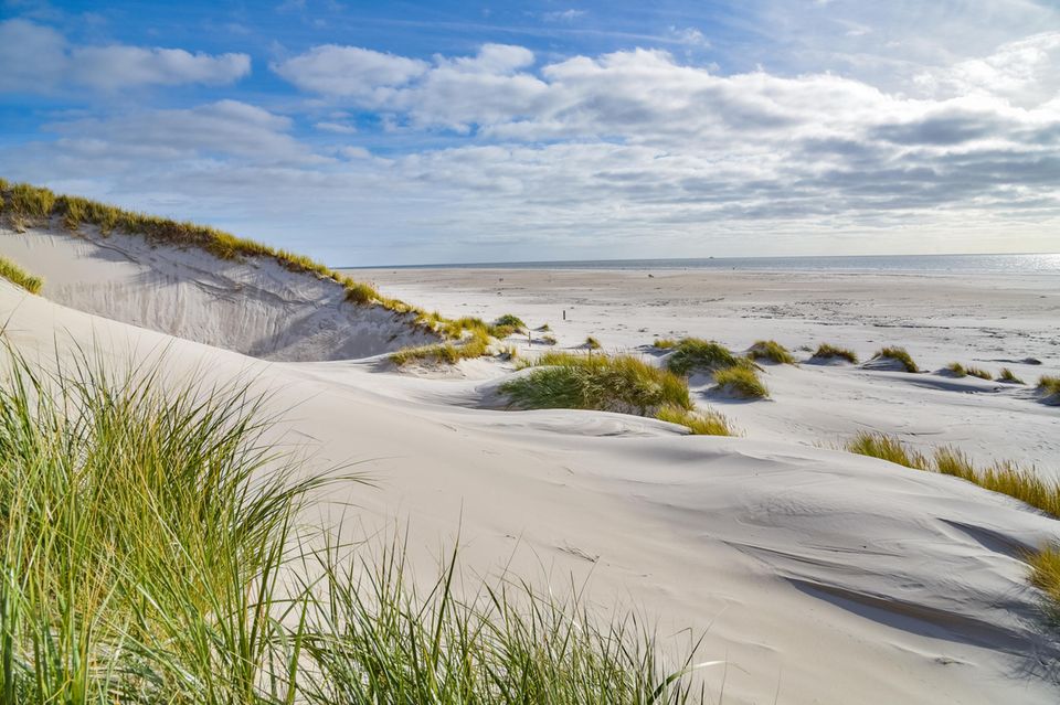 Düne mit Strand auf der Insel Amrum