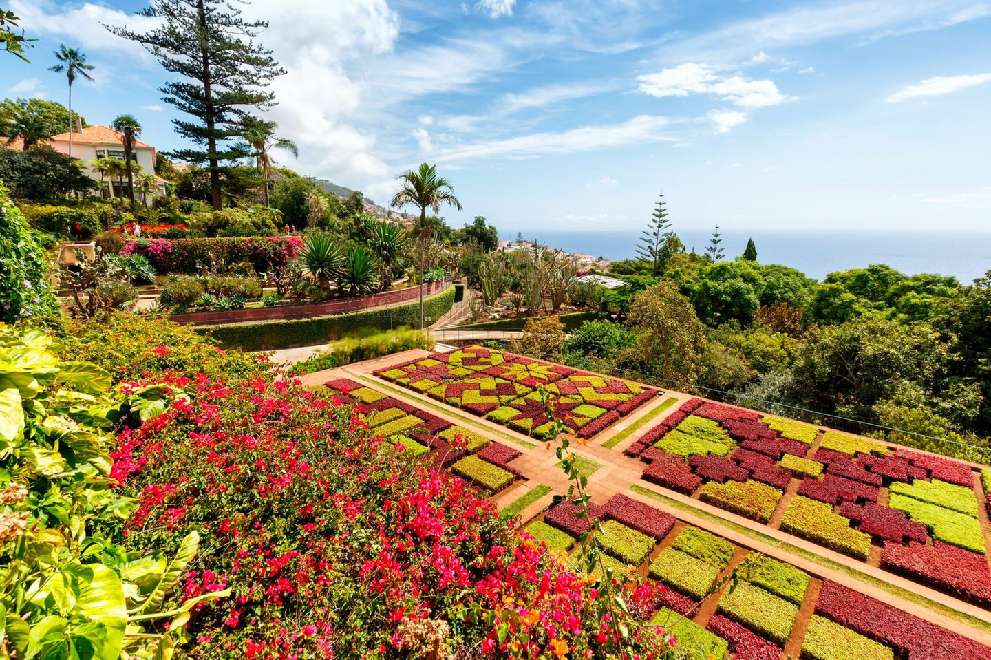 Botanischer Garten von Funchal