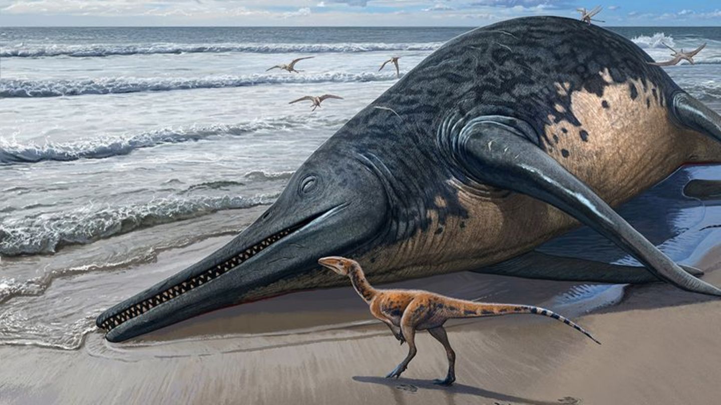 Am Ende der Trias, vor rund 200 Millionen Jahren, starben die großen Ichthyosaurier aus, darunter auch der riesenhafte Ichthyotitan severnensis