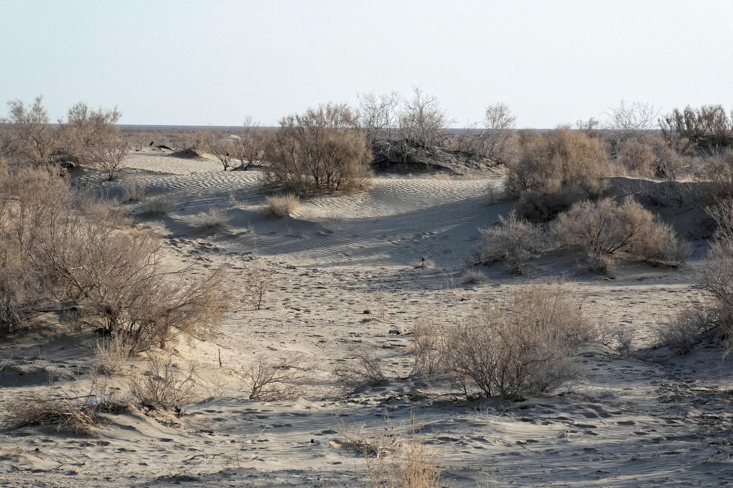 Wüstenlandschaft