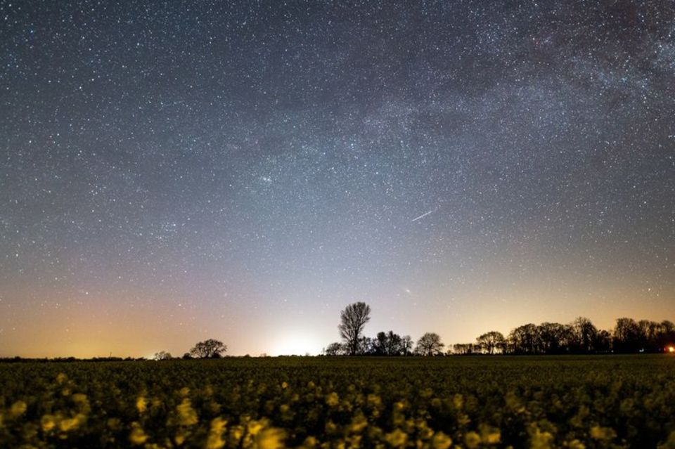 Der Sternenhimmel leuchtet über einem Rapsfeld in Schleswig-Holstein. Foto: Daniel Reinhardt/dpa
