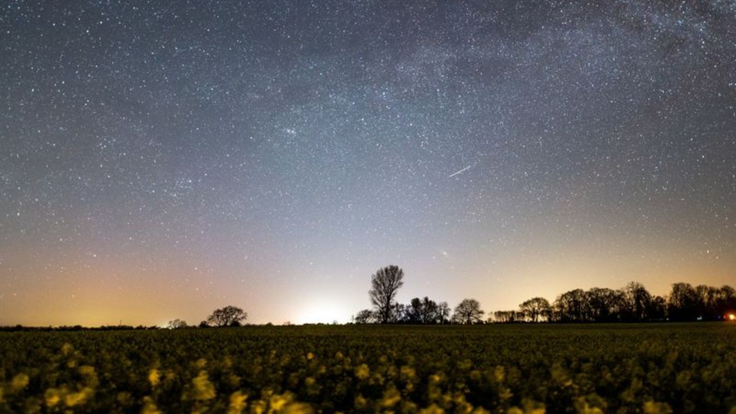 Der Sternenhimmel leuchtet über einem Rapsfeld in Schleswig-Holstein. Foto: Daniel Reinhardt/dpa