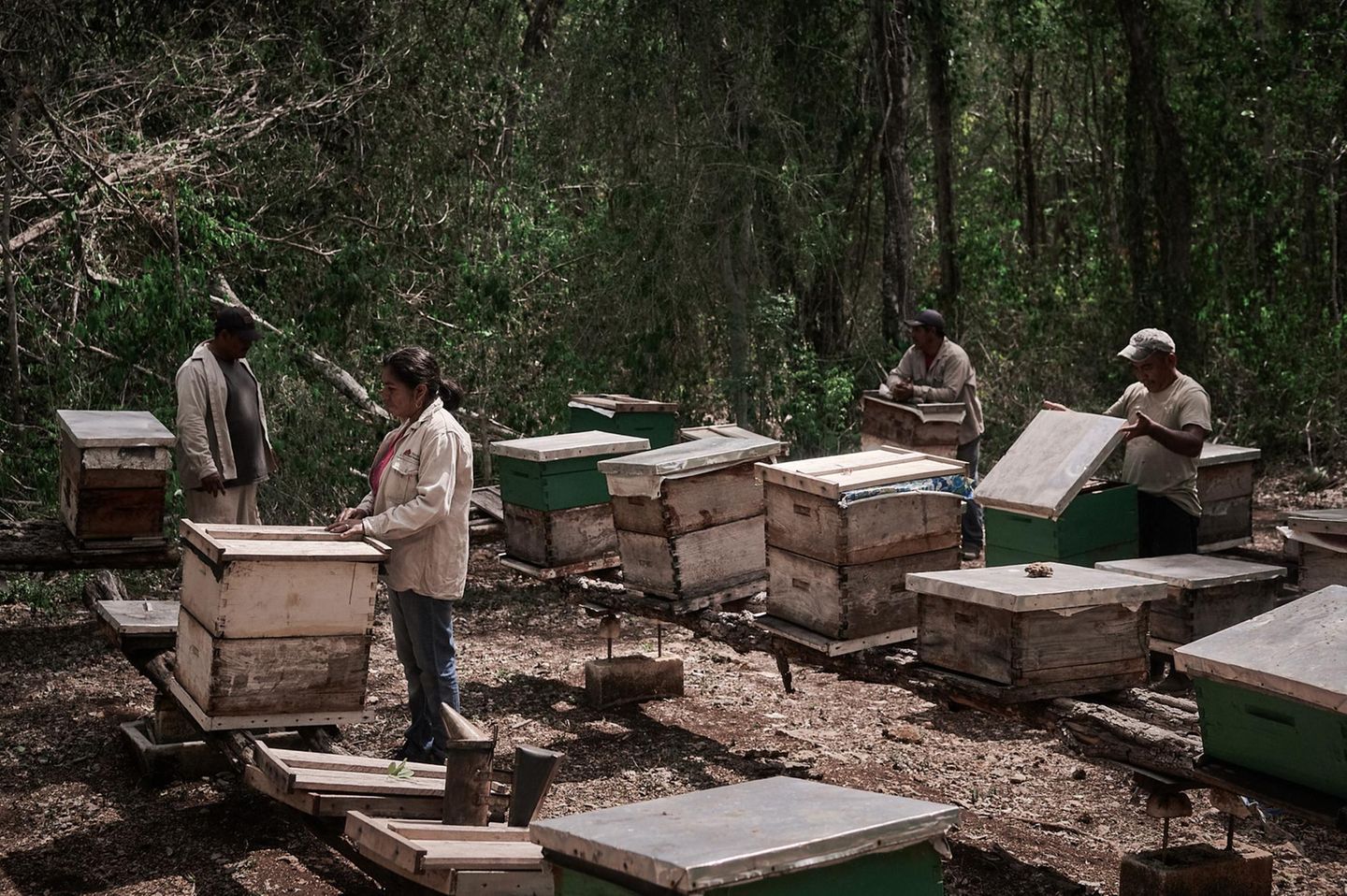 Gewinnerin in der Kategorie Umwelt: Mahé Elipe mit "Echoes of the Hive" Menschen an ihren Bienenstöcken