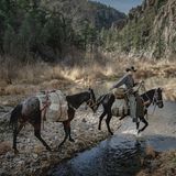 Ein Reiter sitzt auf einem Pferd und zieht ein zweites hinter sich her
