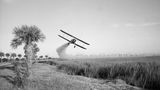 Flugzeug sprüht Pestizide