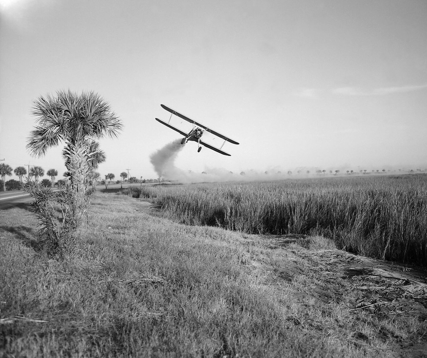 Flugzeug sprüht Pestizide