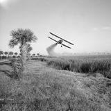 Flugzeug sprüht Pestizide