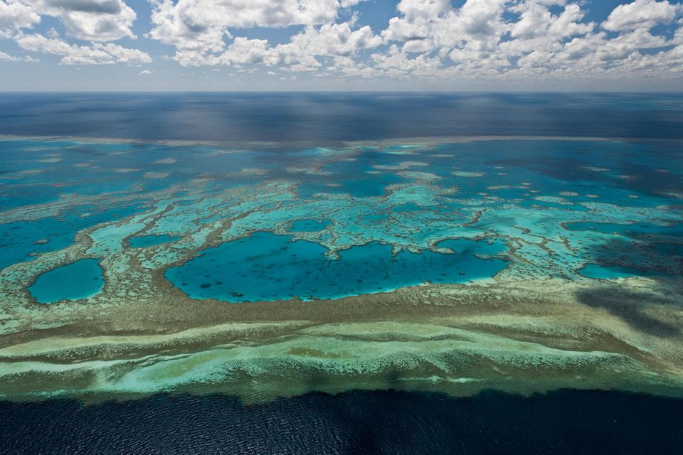 Blick auf das Great Barrier Reef