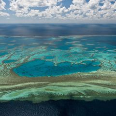 Blick auf das Great Barrier Reef