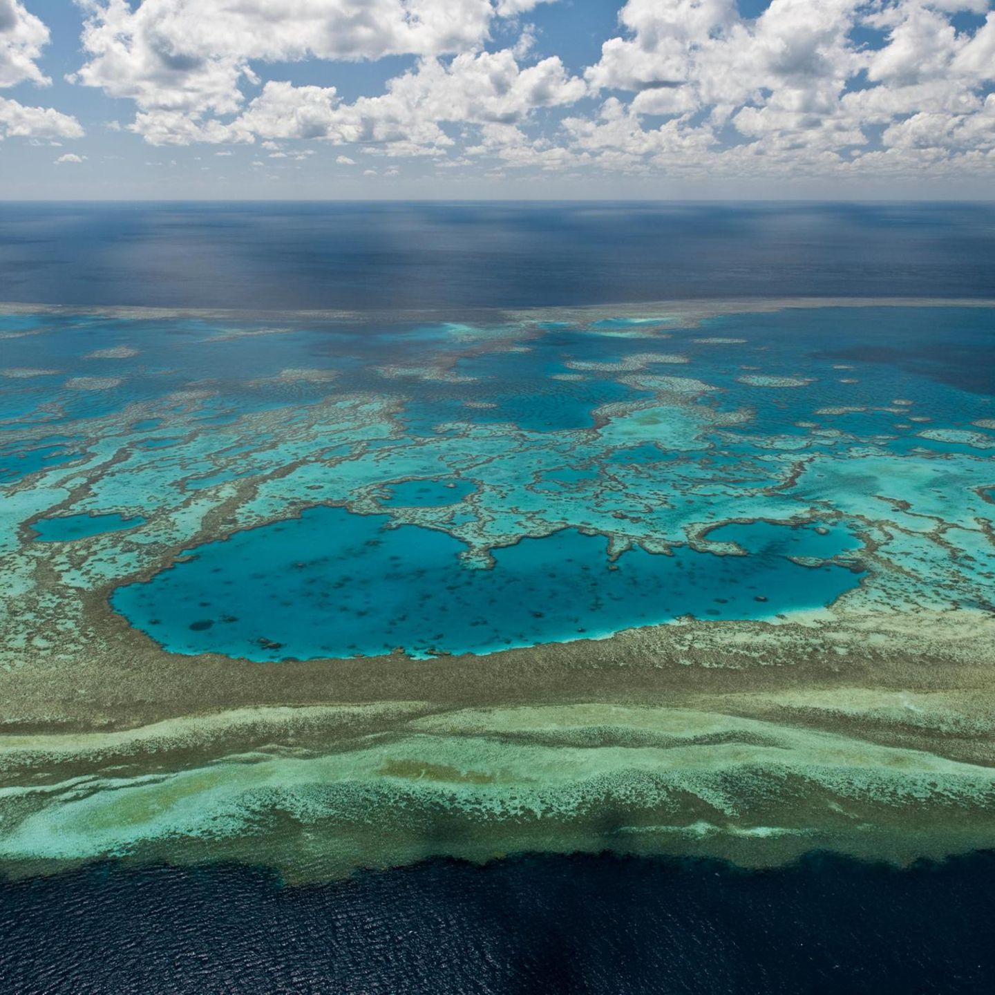 Blick auf das Great Barrier Reef