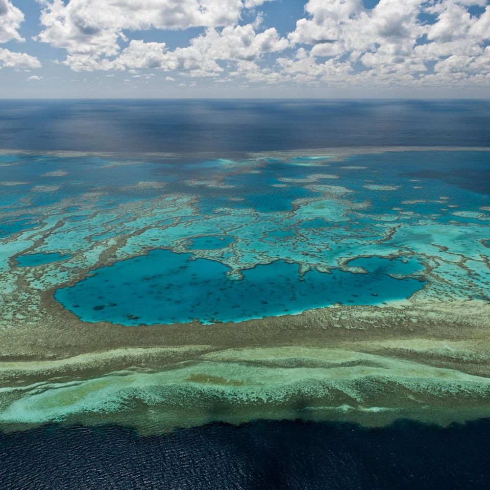Blick auf das Great Barrier Reef