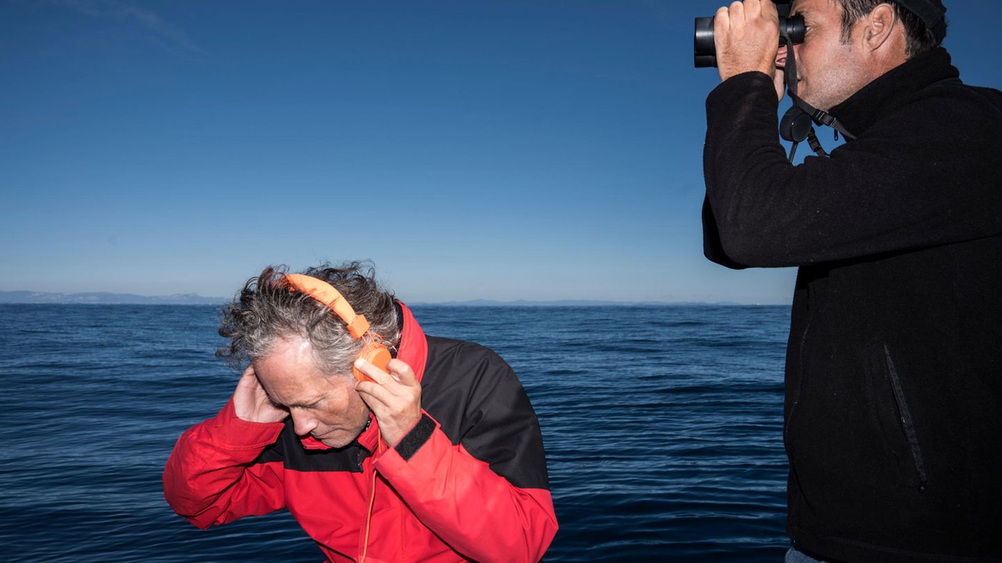 Expedition: Während der Bioakustiker Hervé Glotin das Mittelmeer vor Toulon mithilfe eines Hydrophons belauscht, beobachtet Kapitän Thomas Roger den Horizont. Das Ziel: einen Pottwal auszumachen Während der Bioakustiker Hervé Glotin das Mittelmeer vor Toulon mithilfe eines Hydrophons belauscht, beobachtet Kapitän Thomas Roger den Horizont. Das Ziel: einen Pottwal auszumachen