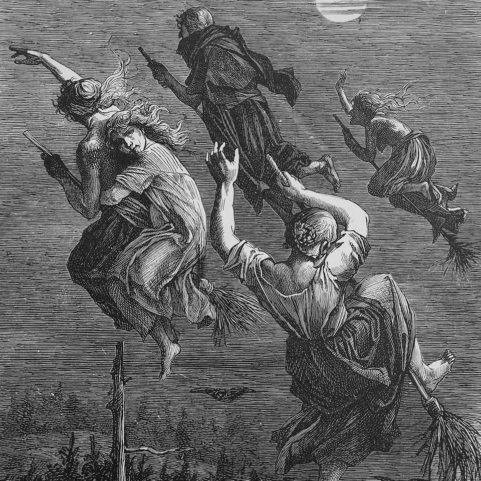 SW Illustration auf Besen reitender Hexen