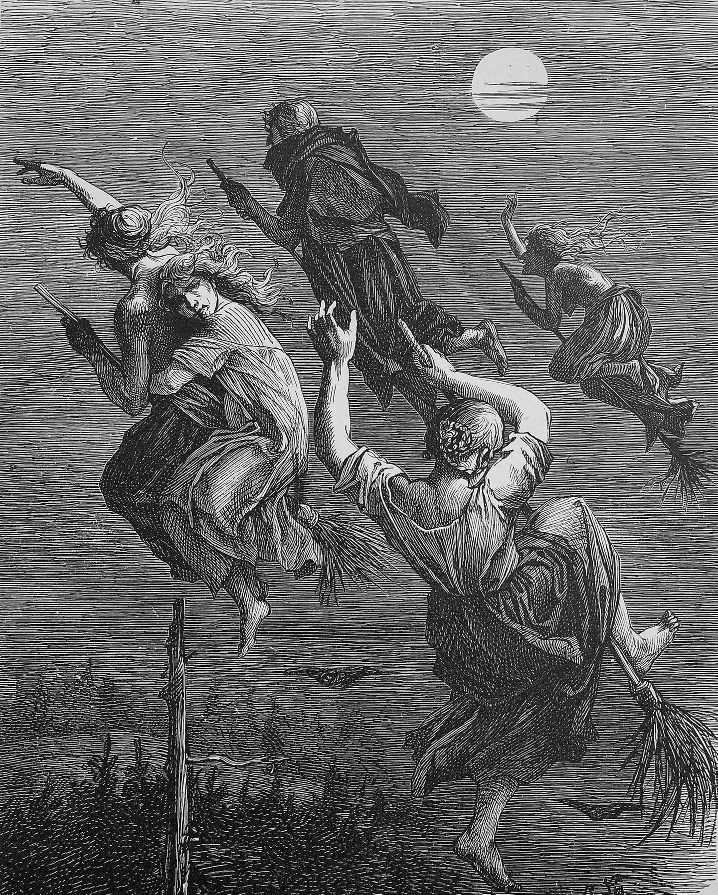 SW Illustration auf Besen reitender Hexen