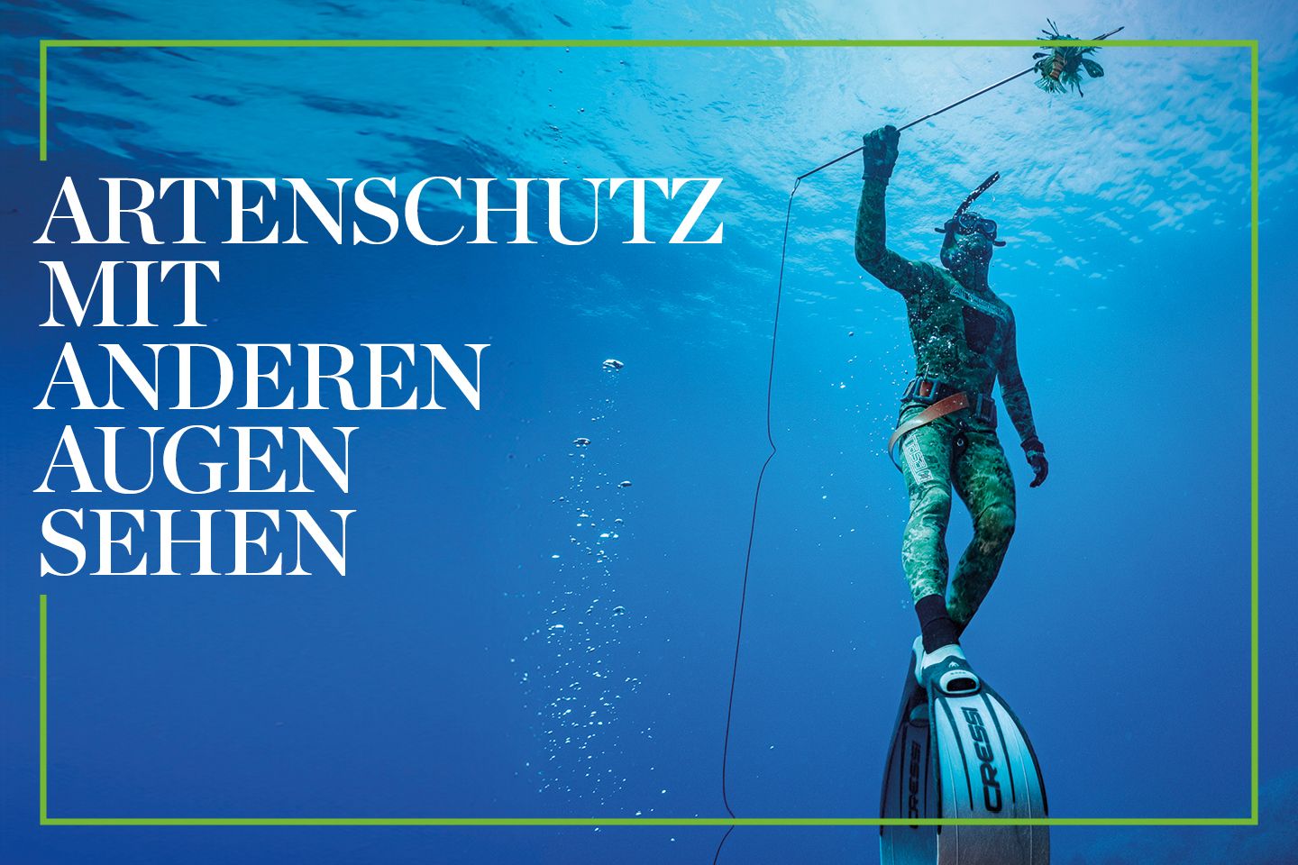 Feuerfische im Mittelmeer: Die Jagd auf den tödlichen Fremden