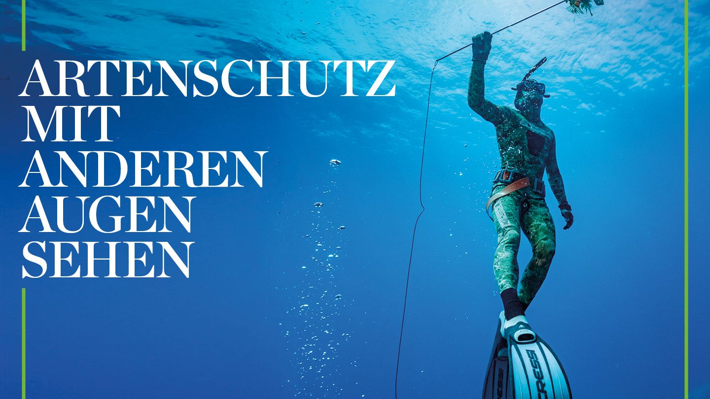 Feuerfische im Mittelmeer: Die Jagd auf den tödlichen Fremden