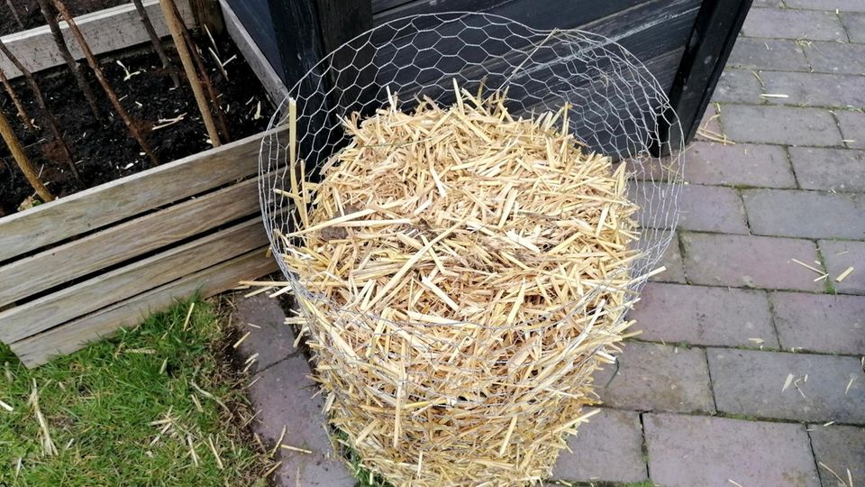 Kartoffeln pflanzen im Turm