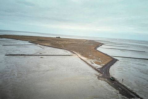 Klima-Update: Bedrohtes Naturparadies: Wie sich das Wattenmeer verändert