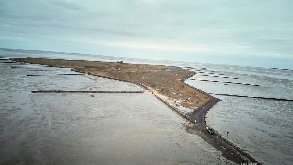 Klima-Update: Bedrohtes Naturparadies: Wie sich das Wattenmeer verändert