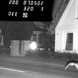 Foto einer nächtlichen Straße, über der eine Ente im Tiefflug zu sehen ist