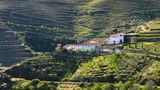Weingut umrahmt von Weinbergen